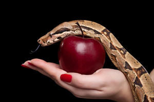 Der Sündenfall - Eva mit dem Apfel - Symbolbild - iStockphoto - Copyright: Nelic, iStockphoto