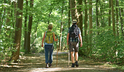 Zwei Menschen spazieren im Wald - Copyright: Tobias Frick / fundus-medien.de