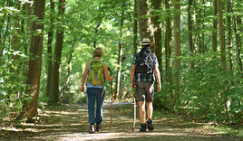 Zwei Menschen spazieren im Wald - Copyright: Tobias Frick / fundus-medien.de