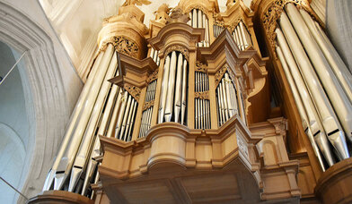 Große Orgel in St. Katharinen - Copyright: Wiebke Veth