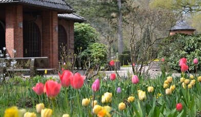 Kapelle Friedhof - Copyright: B. Kattner