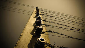 Stacheldraht KZ Auschwitz - Copyright: iStockphoto