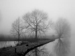 Gerade, dass Weihnachten auch in mir geschieht, darin liegt ja alles.&#147; (Meister Eckhart) - Winterlandschaft - Copyright: Liesbeth Klein Haneveld