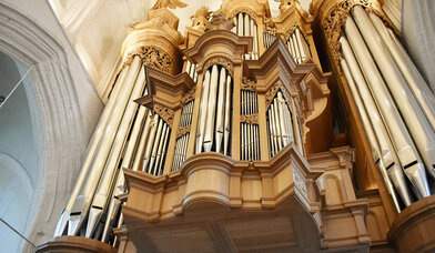 Große Orgel in St. Katharinen Hamburg - Copyright: Wiebke Veth