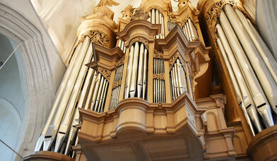 Große Orgel in St. Katharinen - Copyright: Wiebke Veth