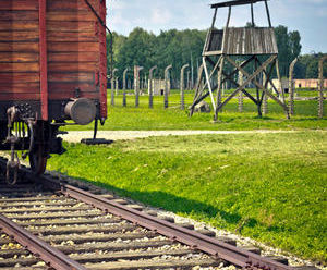 Das KZ-Neuengamme war das größte Außenlager der Nationalsozialisten in Nordwestdeutschland - Symbolbild aus Birkenau: iStockphoto - Copyright: ewg3d, iStockphoto