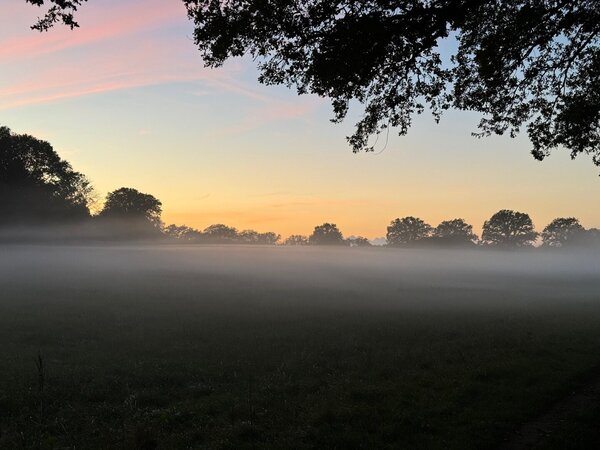 Herbstnebel - Copyright: KG Hoisbüttel