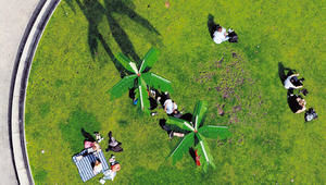 Der Park Fiction - unter künstlichen Palmen am Hafen von St. Pauli ausspannen - Copyright: Michael Zapf, Hamburger Abendblatt